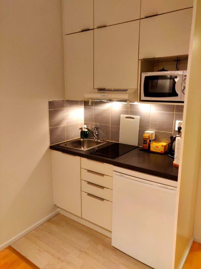 Studio In Helsinki City Center Lejlighed Eksteriør billede